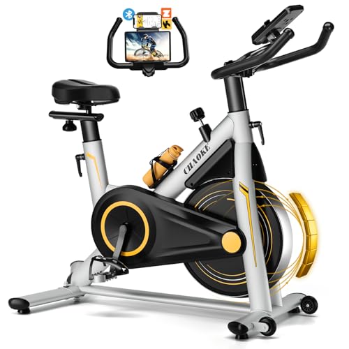 2025 NEU Heimtrainer Fahrrad