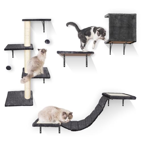 HEVOL Kletterwand Katzen Set