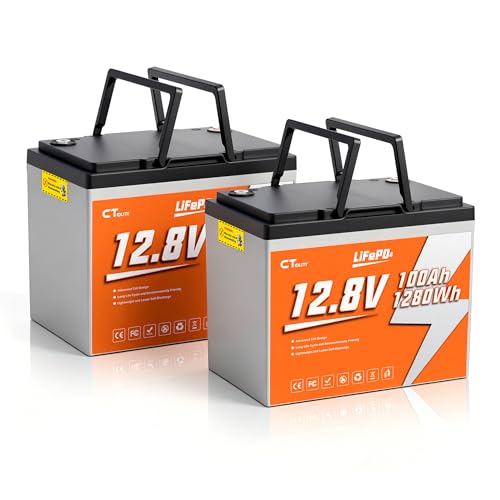CTOLITY 12V 100Ah LiFePO4 Batterie